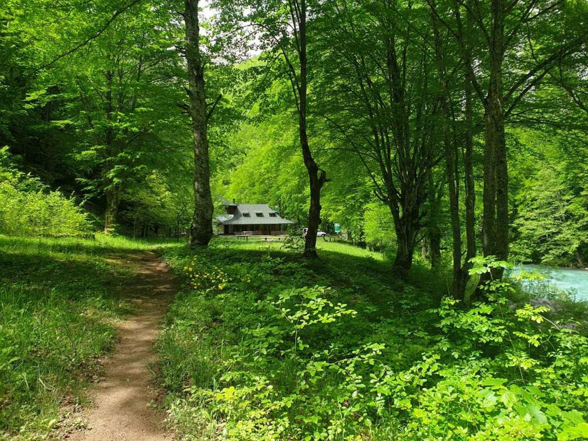 Apartmani Cetkovic Žabljak Esterno foto